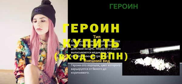 дживик Туринск